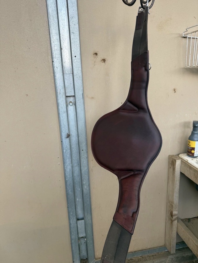 48” Flex Motion Belly Guard