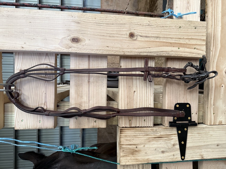 CWD Loop Reins