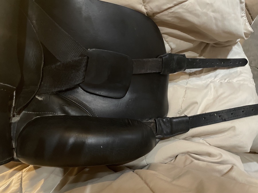 Dressage Saddle