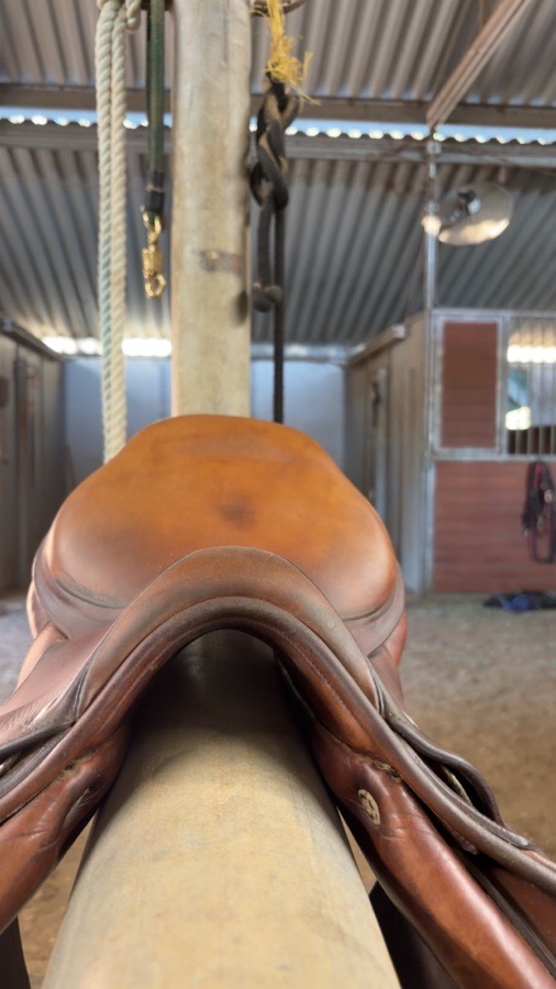 CWD SE01 | 16.5" 2L | 4.25" Tree Size | Before 2010