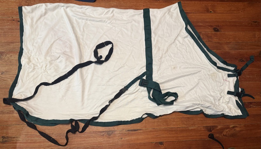 66” Saratoga Horseworks Oasis Summer Turnout