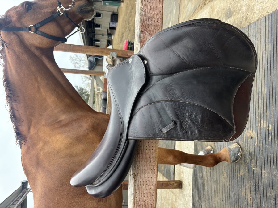 Voltaire Saddle 