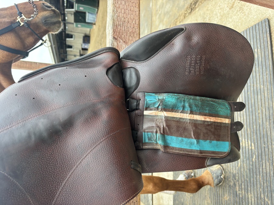 Voltaire Saddle 