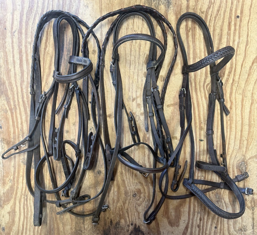 pony and cob bridles