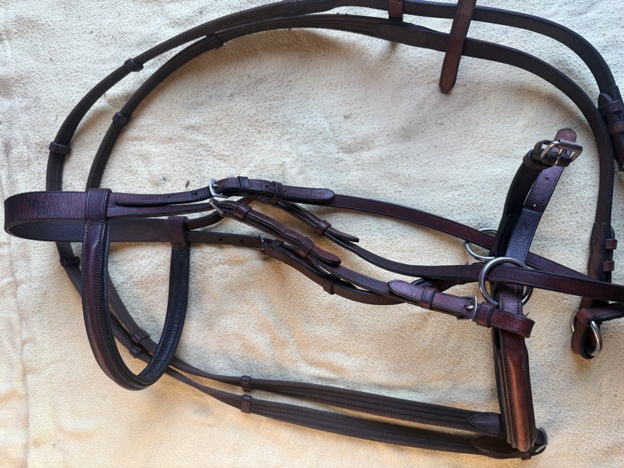 bitless bridle and reins