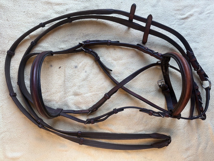 bitless bridle and reins