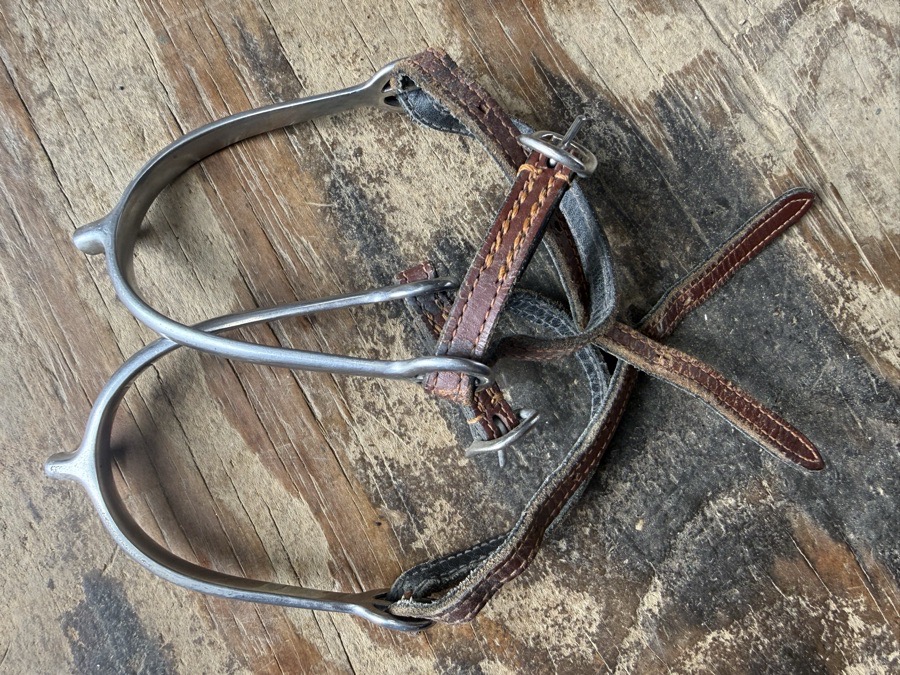 Kid spurs with straps