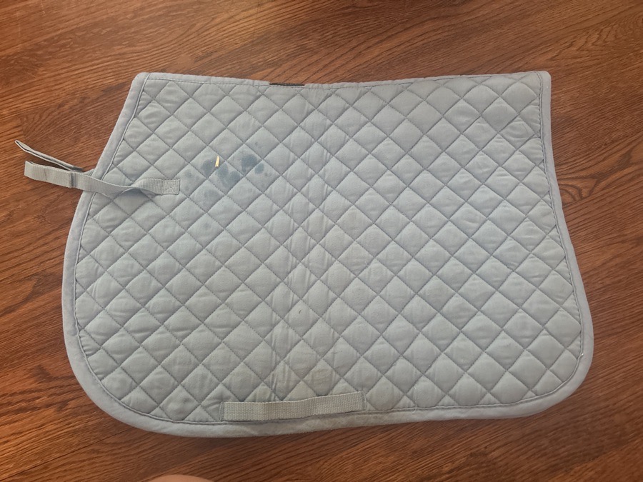 Baby blue saddle pad 