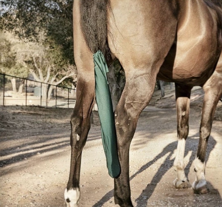  Sleezy Standard Horse Tail Bag - Navy