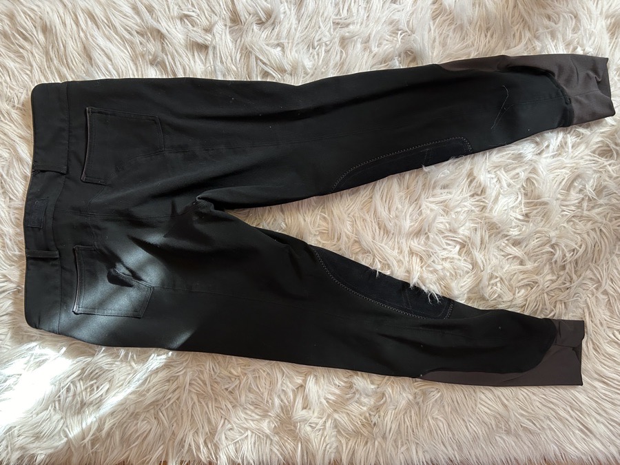dover saddlery breeches
