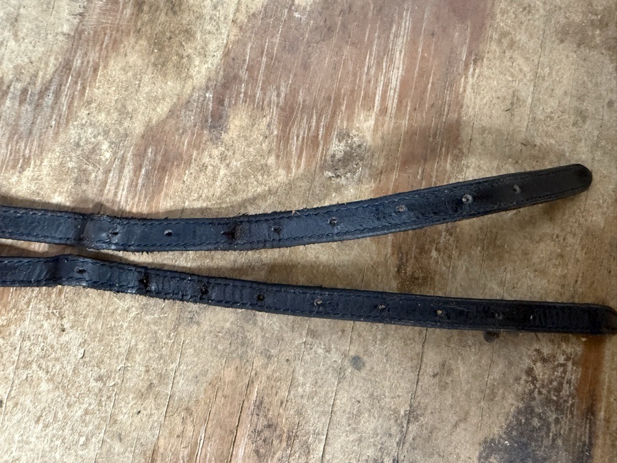 ”wine time” spur straps