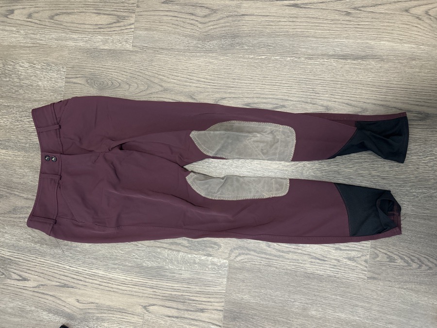 RJ CLASSICS Riding Pants - Breeches