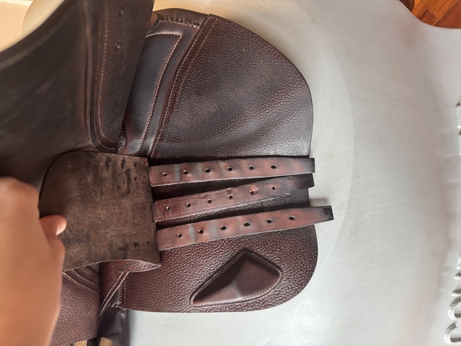 17.5” 2022 CWD SE25 2Gs Saddle - 3C - Grain / Buffalo