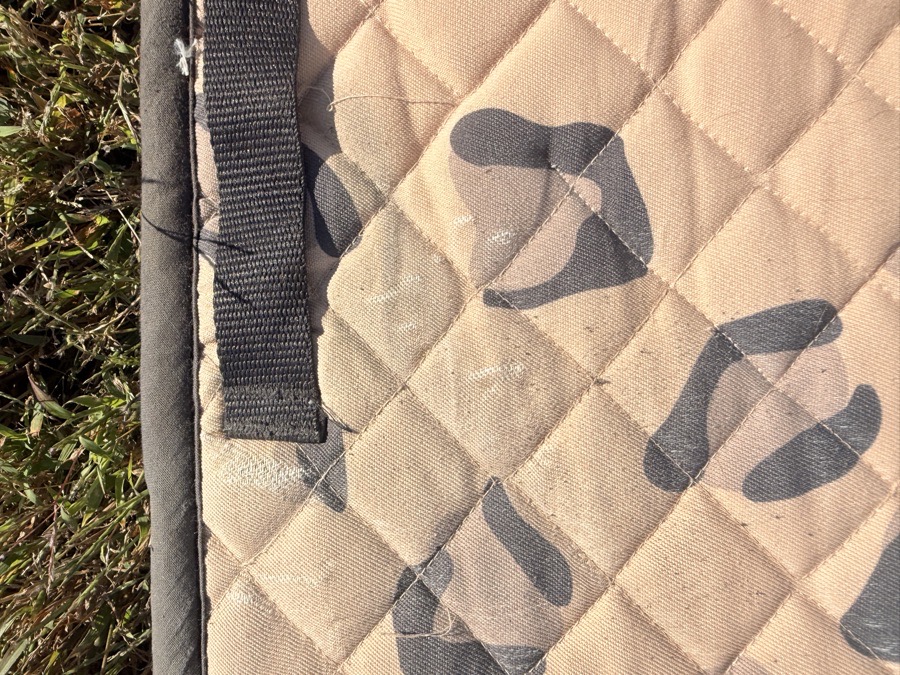 DOVER'S leopard print dressage saddle pad