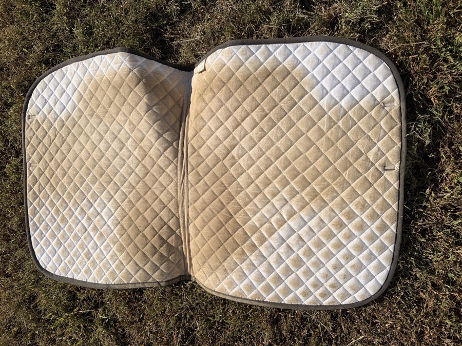DOVER'S leopard print dressage saddle pad