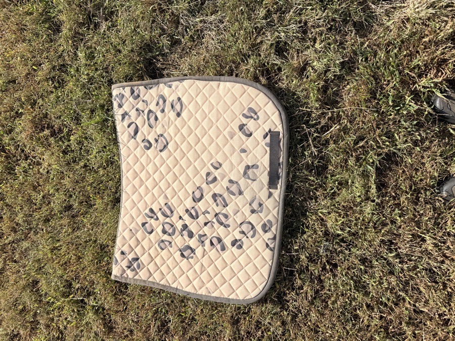 DOVER'S leopard print dressage saddle pad