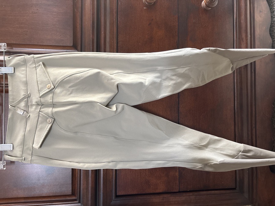 Brand new For Horses Breeches