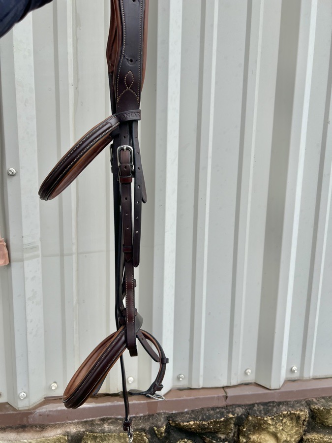 Antares Bridle with reins 