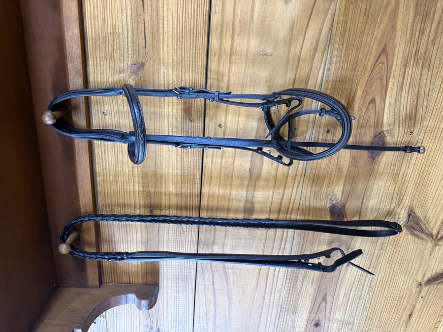 DEVOUCOUX Bridle Horse