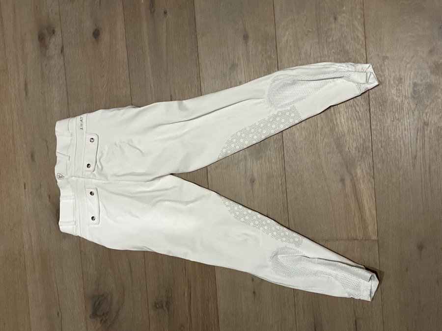 ARIAT Show Pants - Breeches