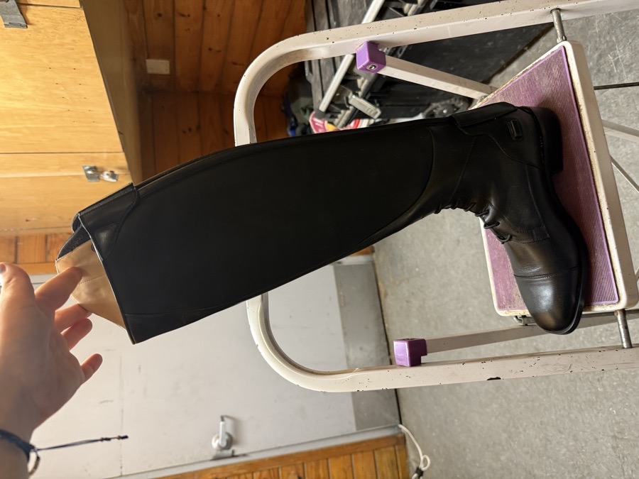 ARIAT Divino Tall Boots 7.5