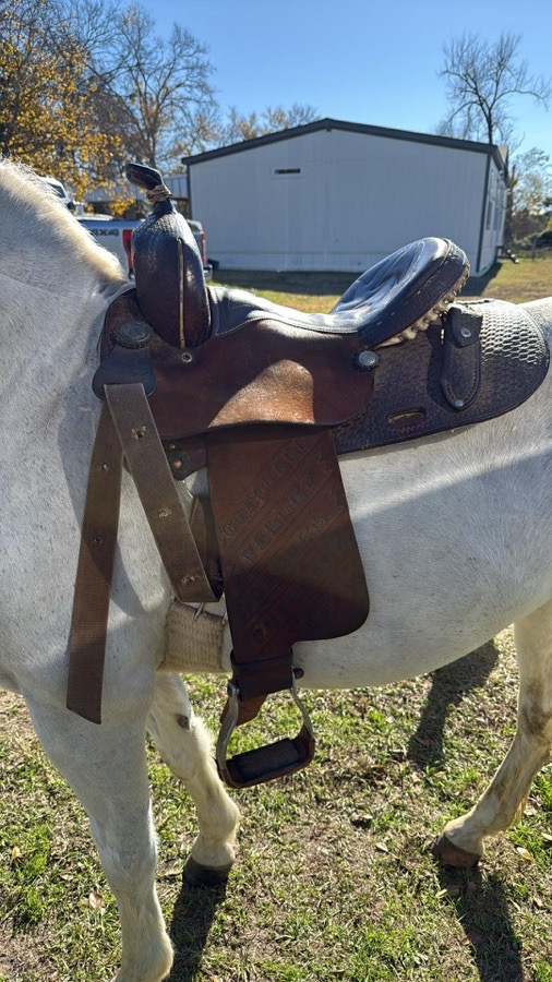 Shiloh saddlery | 13.5” | 6.5" Tree Size | Before 2010