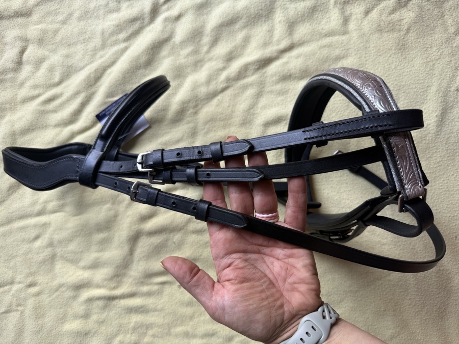 Cob bridle with statement noseband
