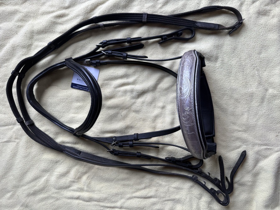 Cob bridle with statement noseband