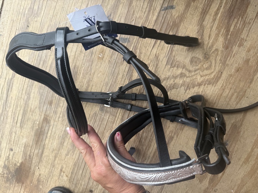 Cob bridle with statement noseband 