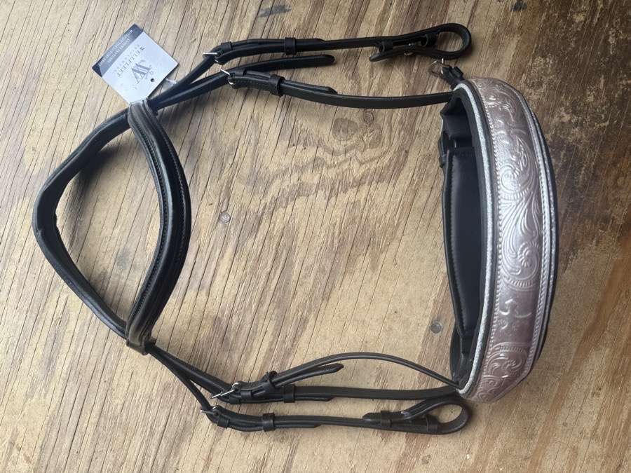 Cob bridle with statement noseband 