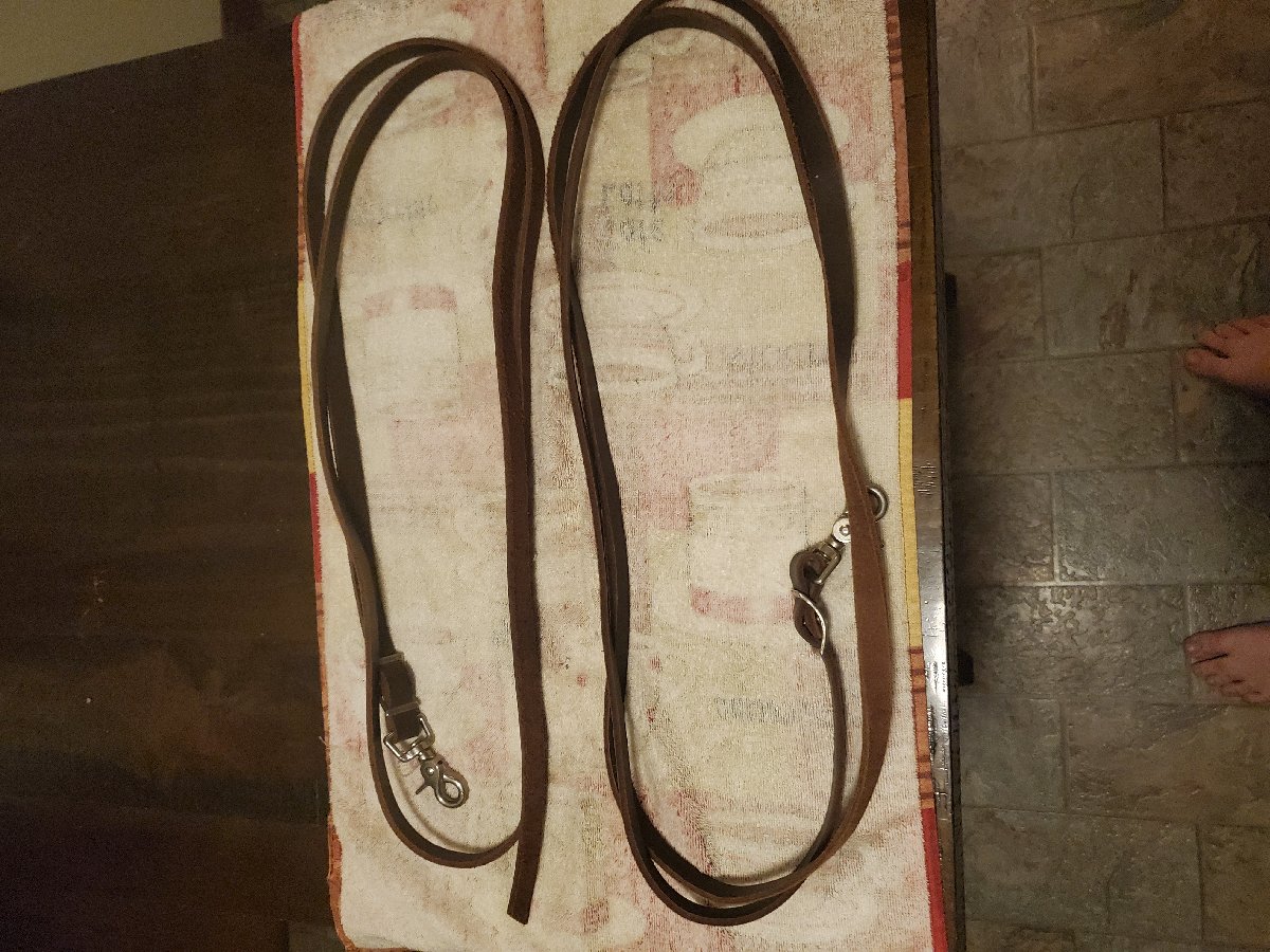 Split Reins