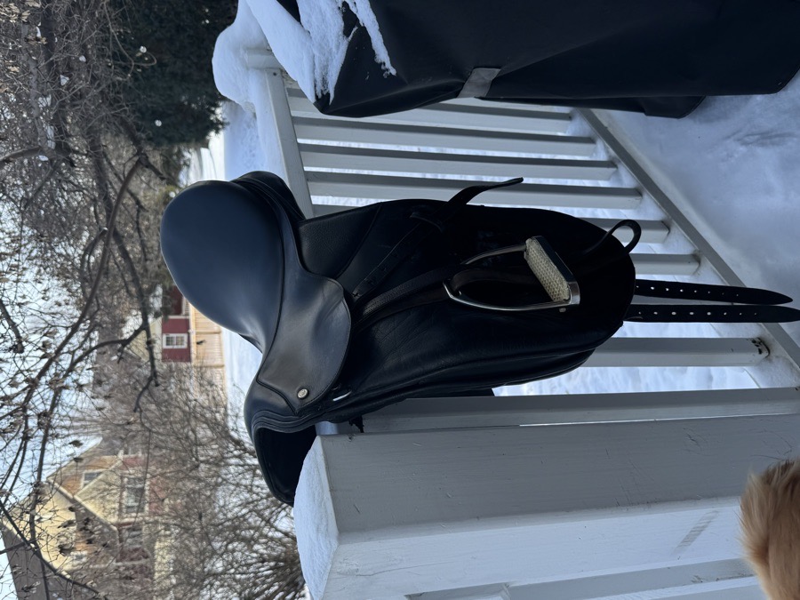 Collegiate Dressage Saddle