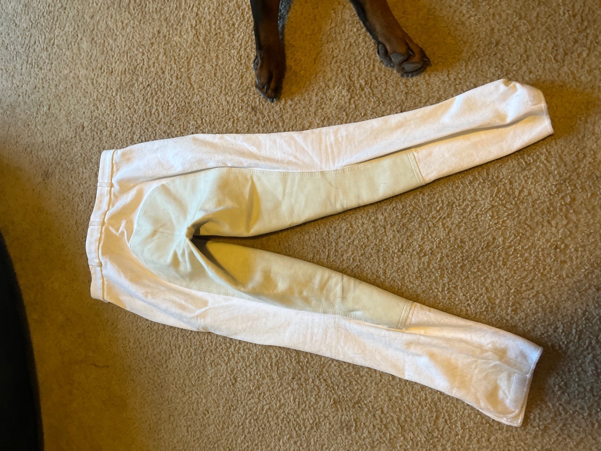 Pikeur breeches 