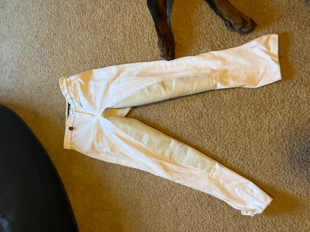 Pikeur breeches 
