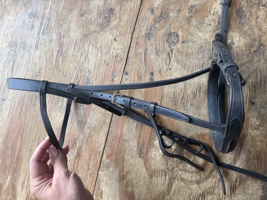 Cob sized black flash bridle