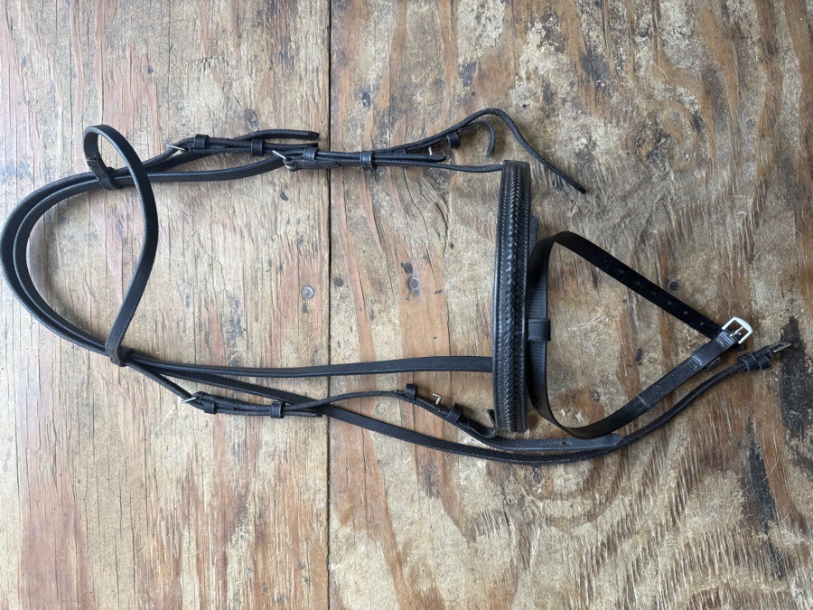 Cob sized black flash bridle