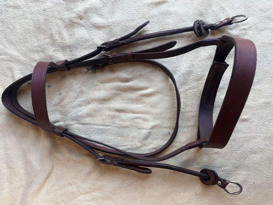 DERBY ORIGINAL OverSize hunt bridle