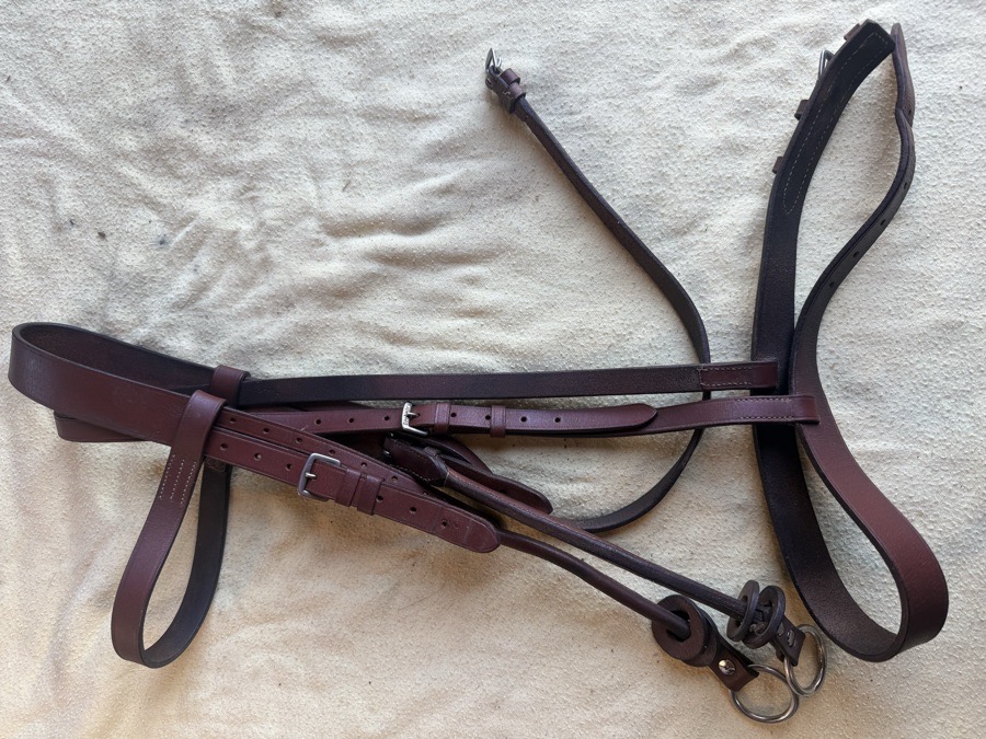 DERBY ORIGINAL OverSize hunt bridle