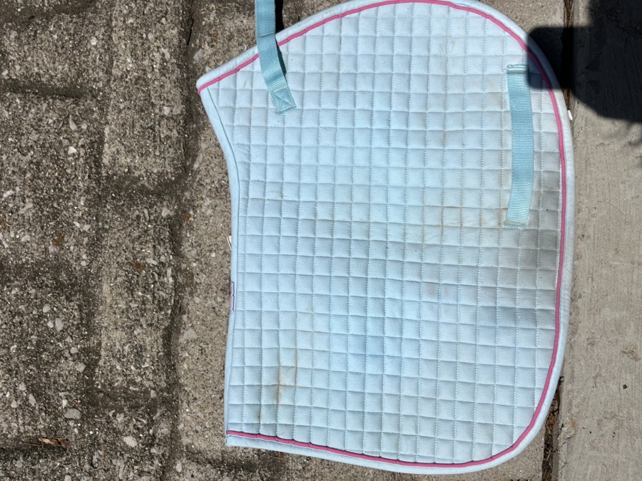 PRI princess pony pad