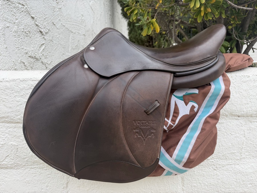VOLTAIRE Stuttgart | 16.5" 2AA | 4.75" Tree Size | 2024