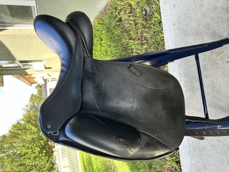 CUSTOM SADDLERY ICON STAR | 17"