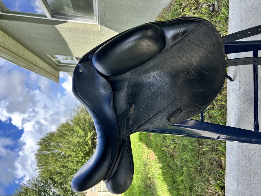 CUSTOM SADDLERY ICON STAR | 17"