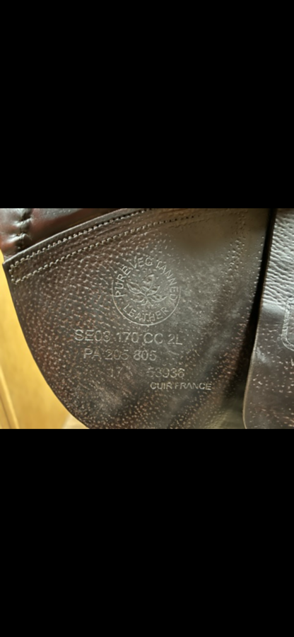 CWD saddle