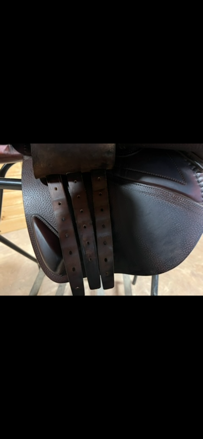 CWD saddle