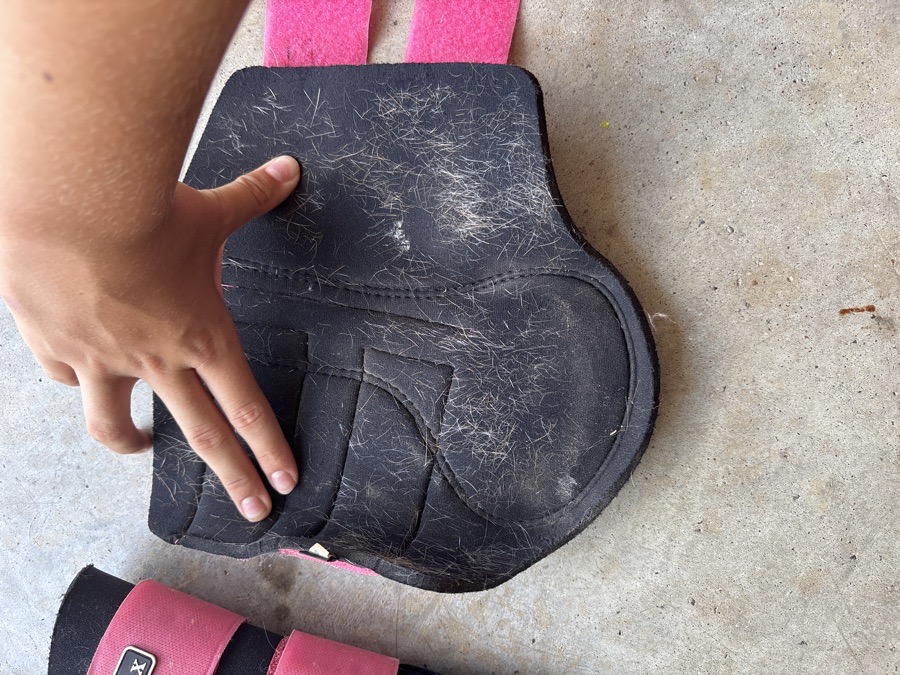 LeMieux grafter brushing boots watermelon
