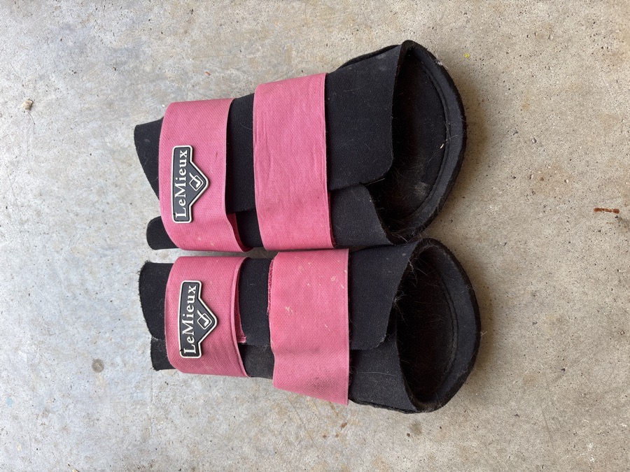 LeMieux grafter brushing boots watermelon