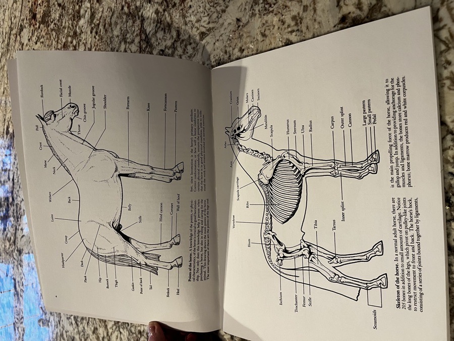 Informational coloring book