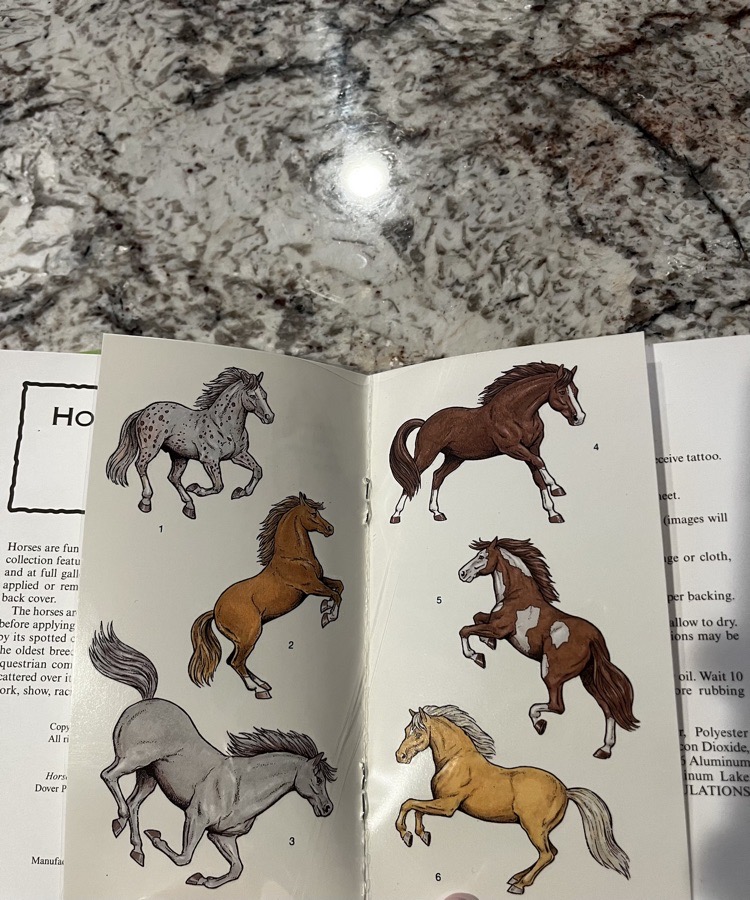 Informational coloring book