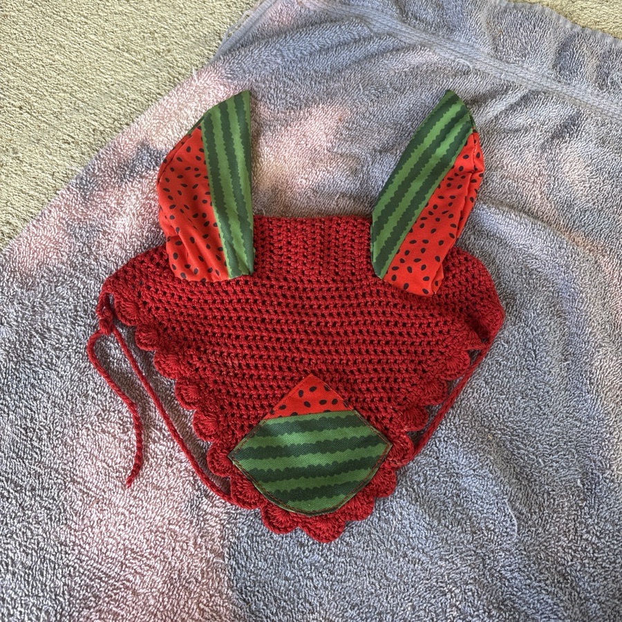 Cute Custom Watermelon Horse Fly Bonnet and Brushing Boot Set