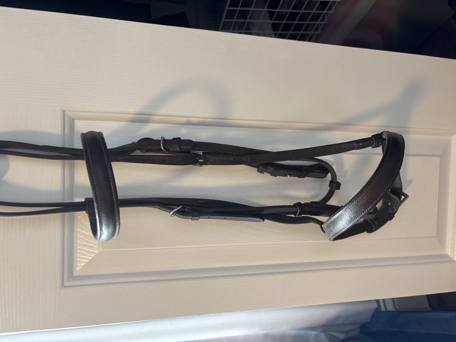 Pony Bridle 